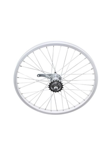 20 x 1.50 Alloy Coaster Wheel 36 Spoke 14g UCP...